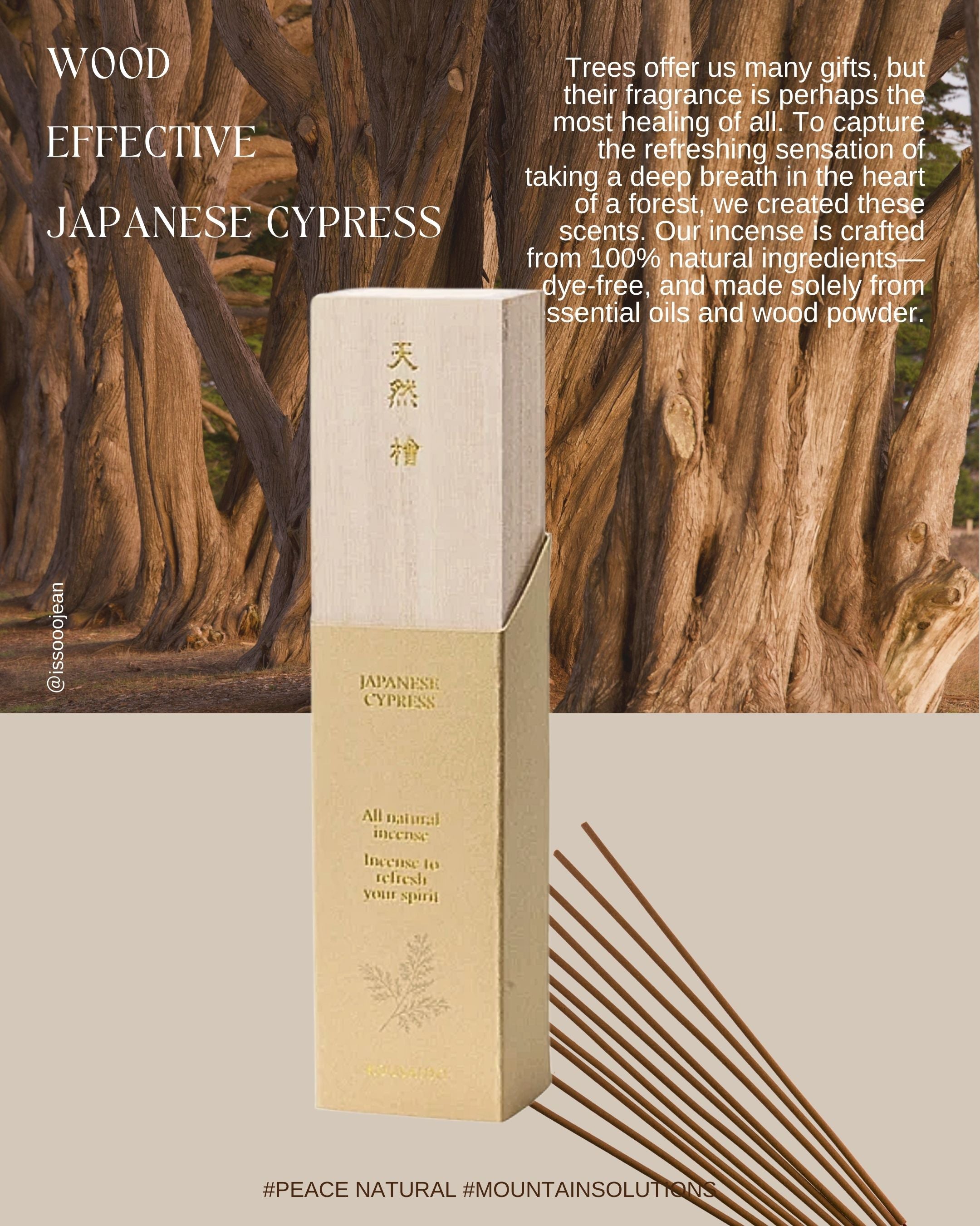 【日本香彩堂】森之呼吸．100% 天然木質線香（桐木盒裝）