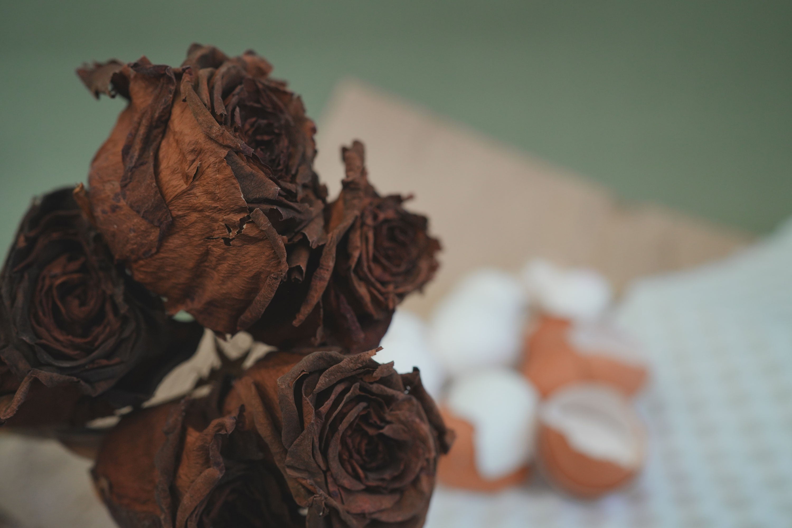 蛋殼_飾品_活潑的你