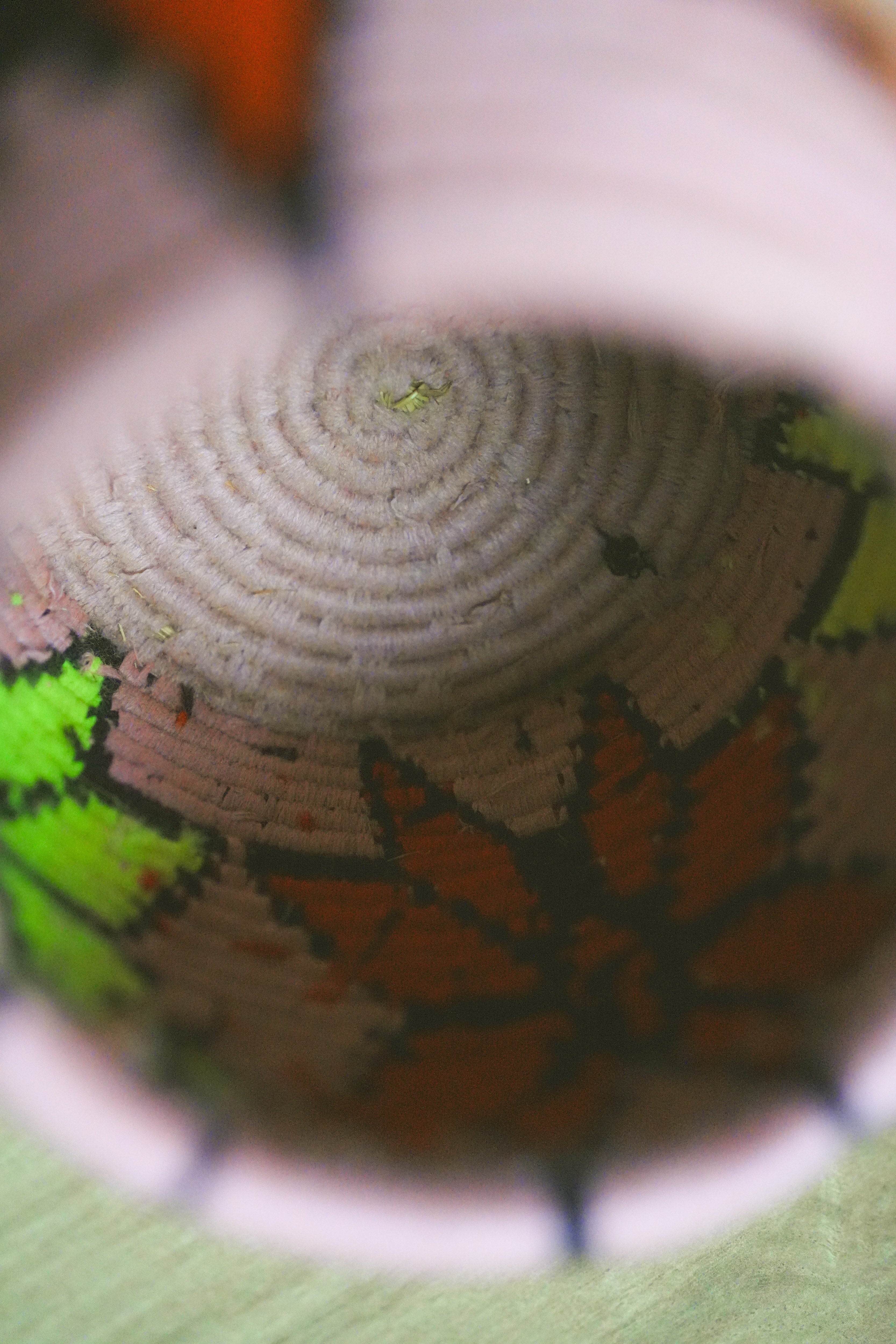 北非手工藝【B】Smal 草編彩織置物籃 (帶蓋)_紫黃星星_粉